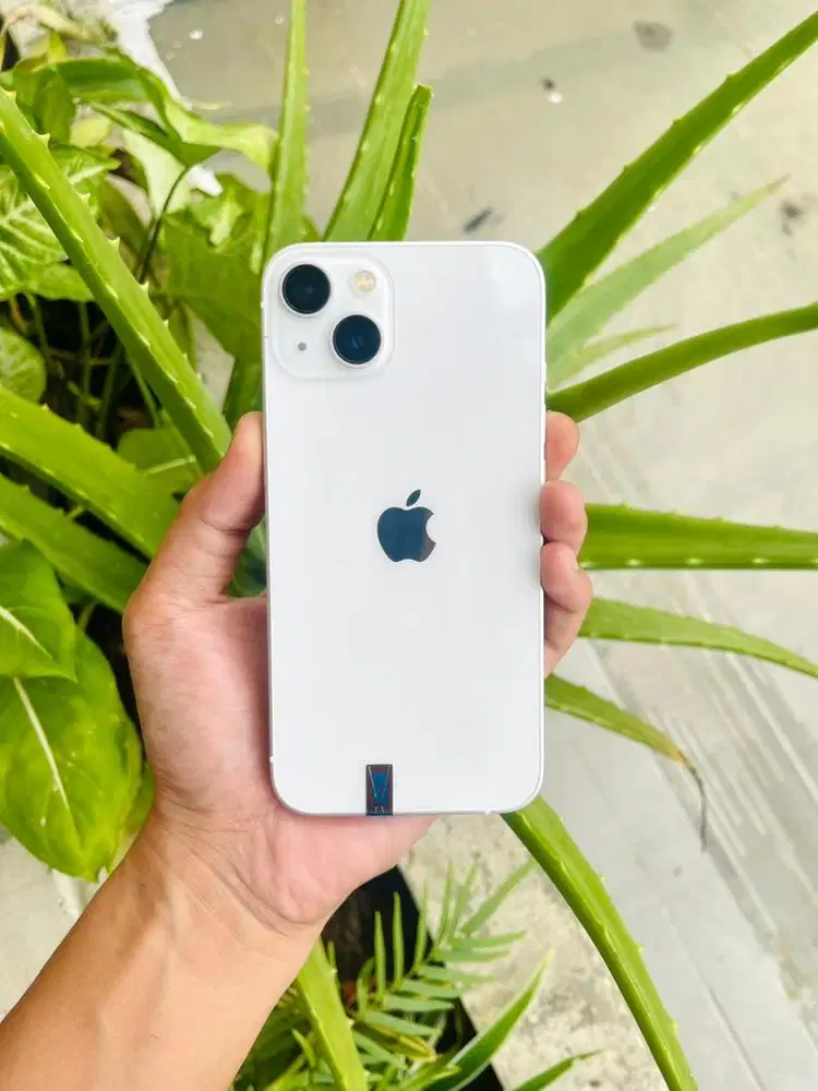 iPhone 13 128gb warna starlight