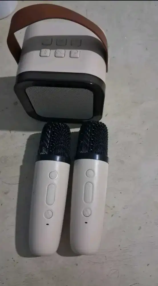 Karaoke Speaker Portable Bluetooth Mini Aesthetic