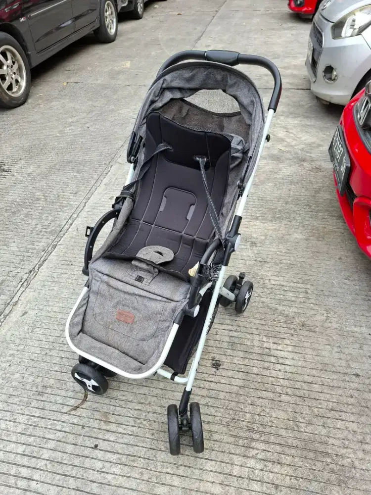 Baby Does Stroller