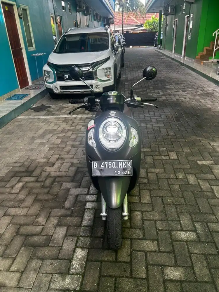 HONDA SCOOPY 2021