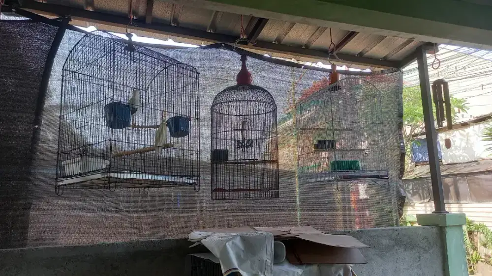 Jual 5 Kandang plus 1 Burung