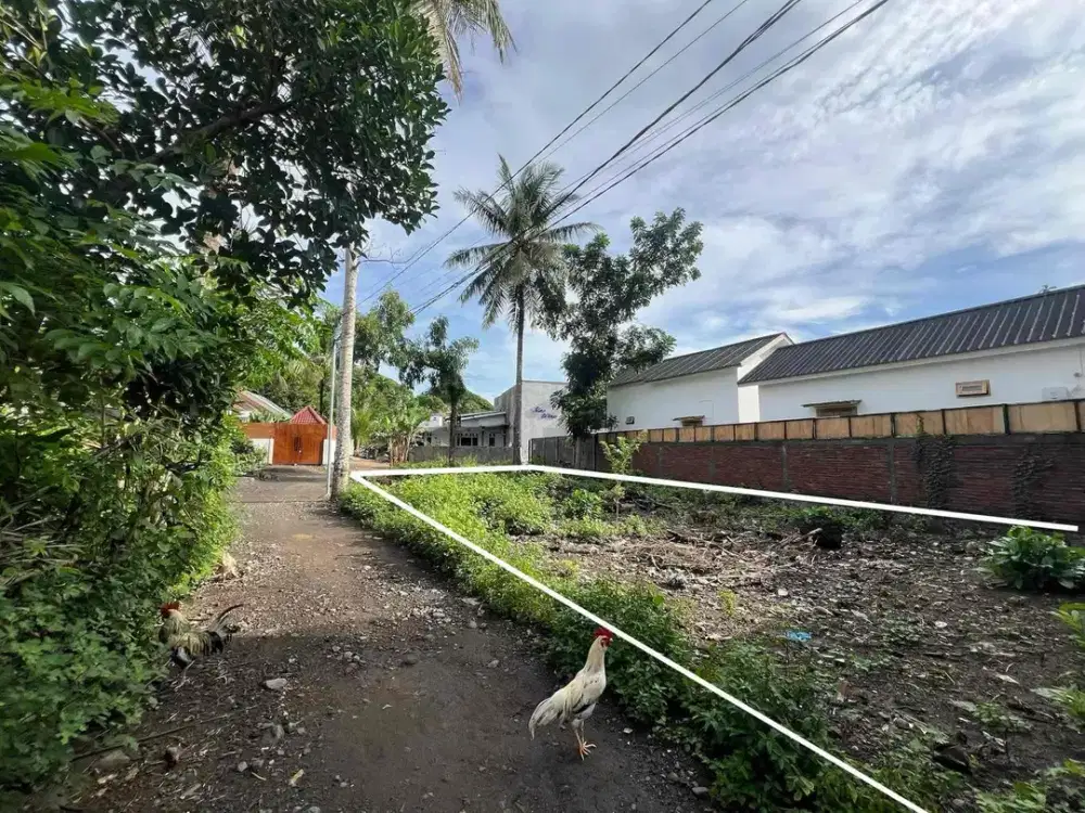 tanah di central Kuta Mandalika Lombok. Cocok untuk villa