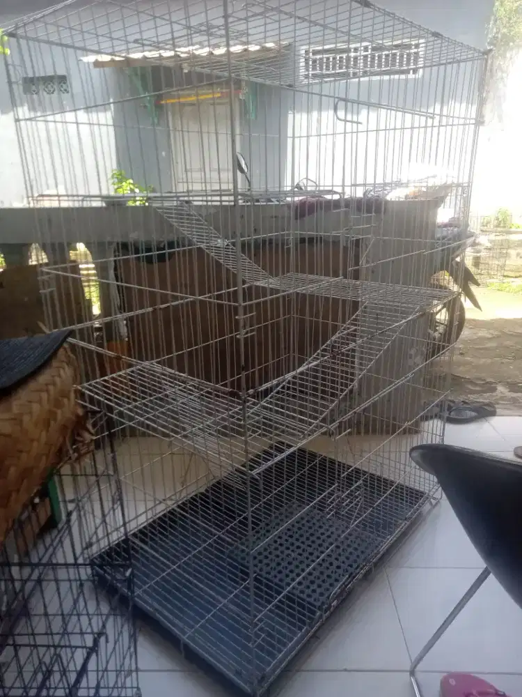 Kandang kucing tingkat jumbo