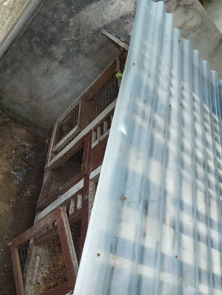 Kandang hewan piaraan