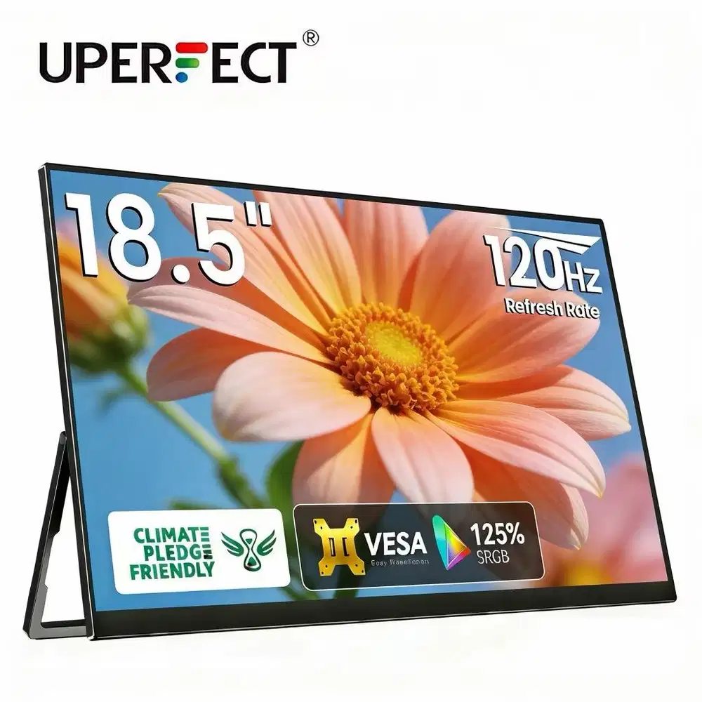 Monitor portable 18.5 inch