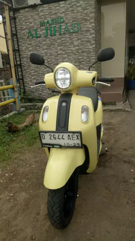 Fazzio neo hybrid 2024