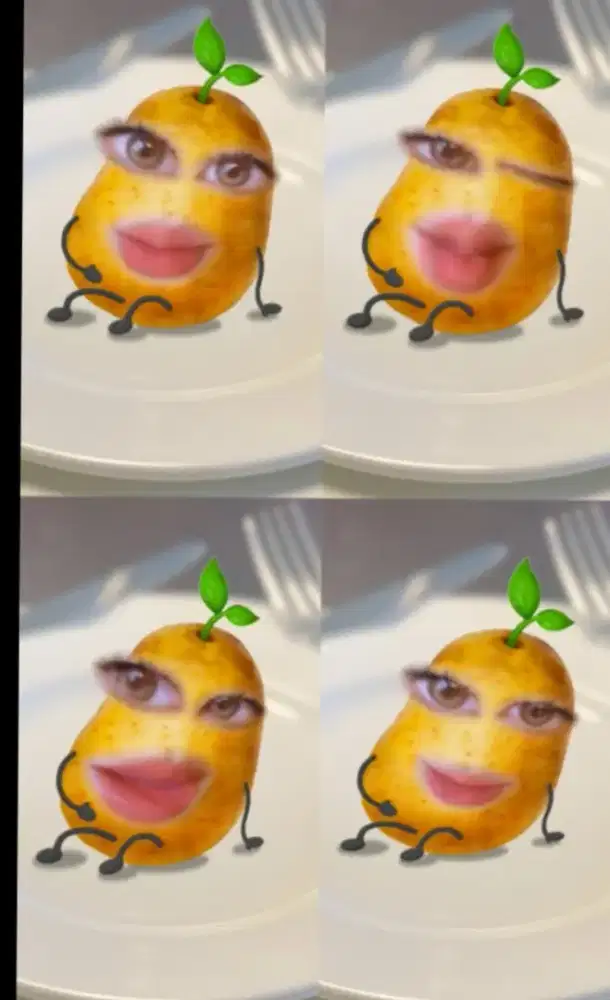 Info temn cewe cari kost bareng