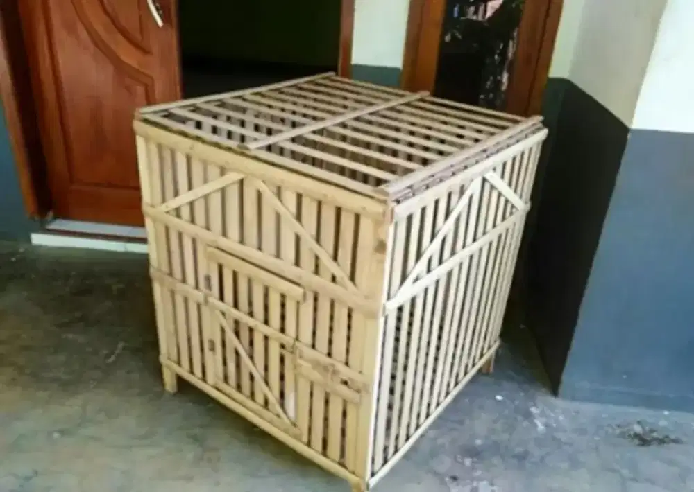 Kandang ayam bambu bongkar pasang
