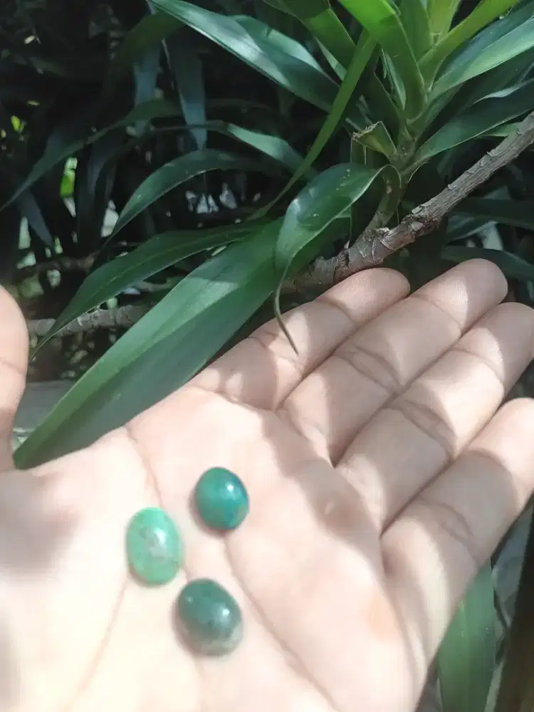 Tiga bacan kristal borongin aja bagus2 keepan lama