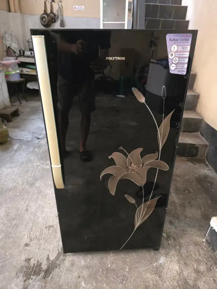 kulkas 1 pintu polytron