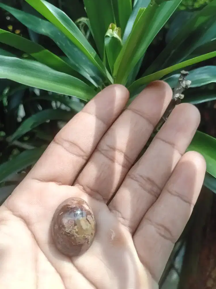 Batu pancawarna garut kristal super kontes