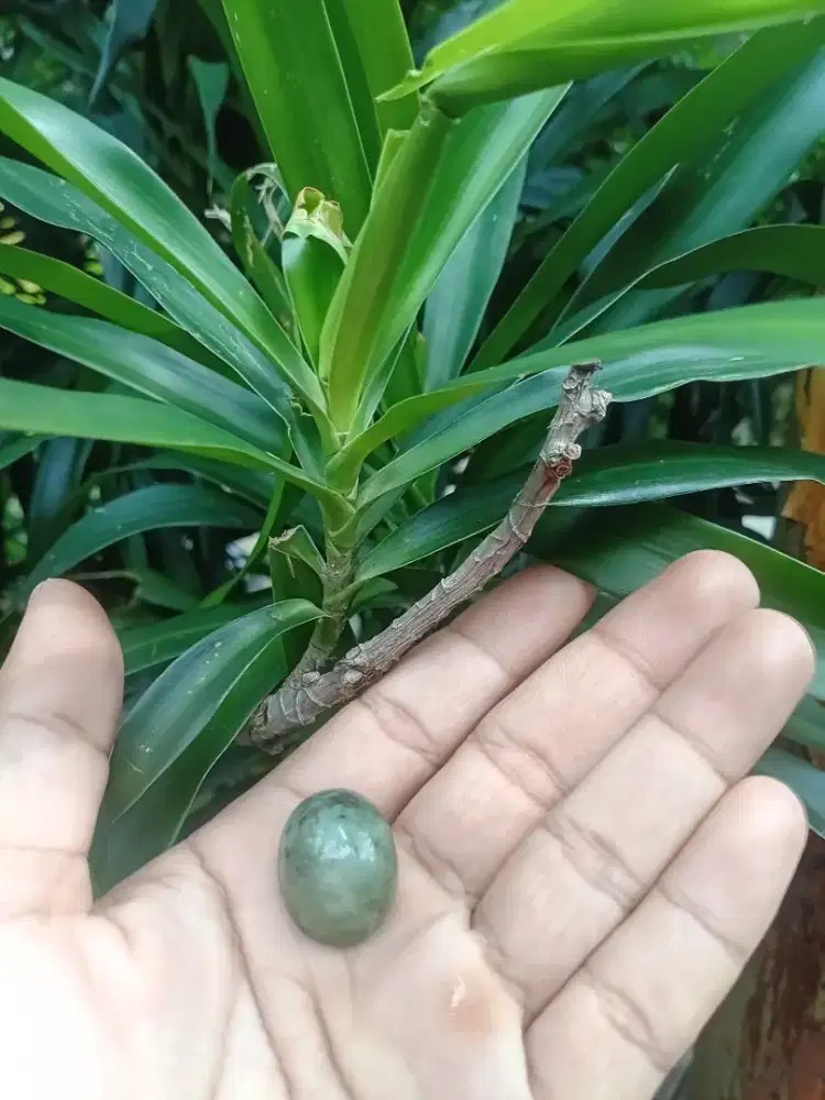 Batu giok asli natural jumbo siap naik ring