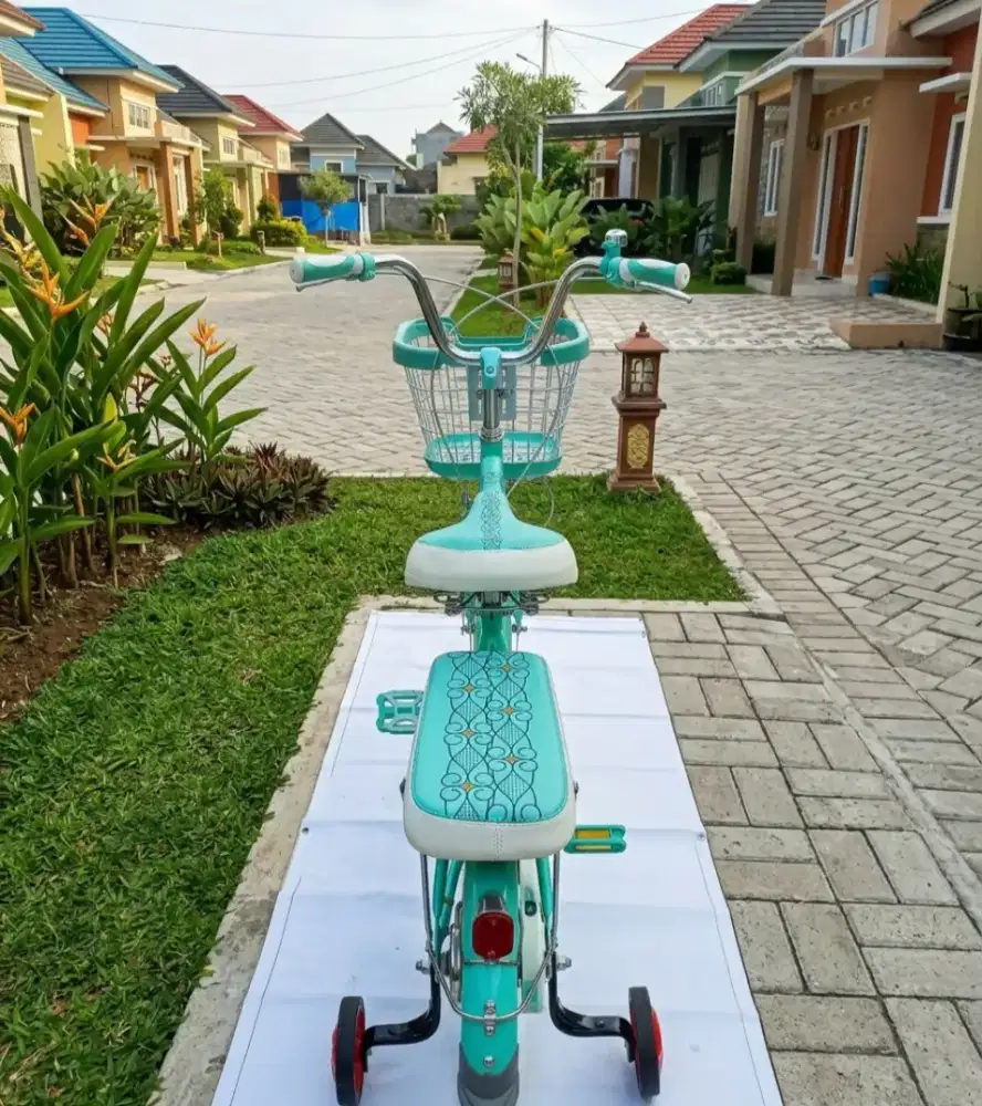 Jual Sepeda Anak Istimewa