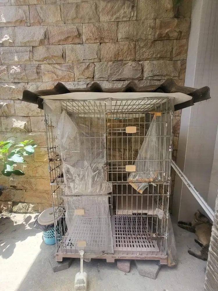 Kandang kucing bekas
