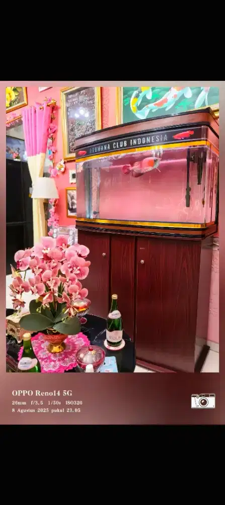 Aquarium BOYU + JBL filter external