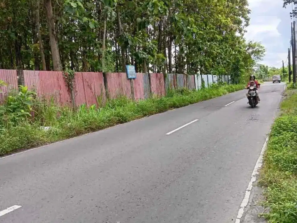 Dijual Tanah Luas Strategis di Berbah Sleman Yogyakarta