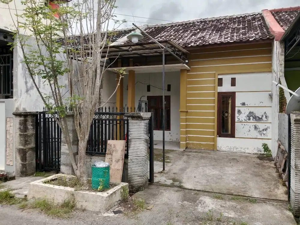 Disewakan per tahun atau dijual rumah di kota Rembang jawa Tengah