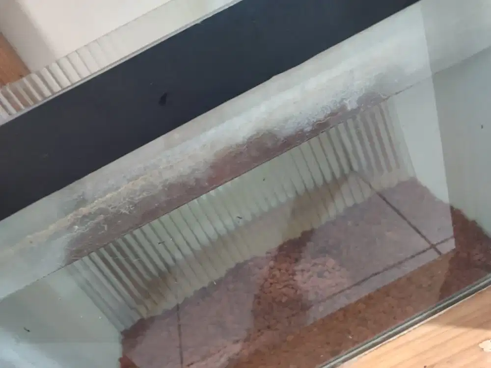 AQUARIUM 40*25*30 BEKAS