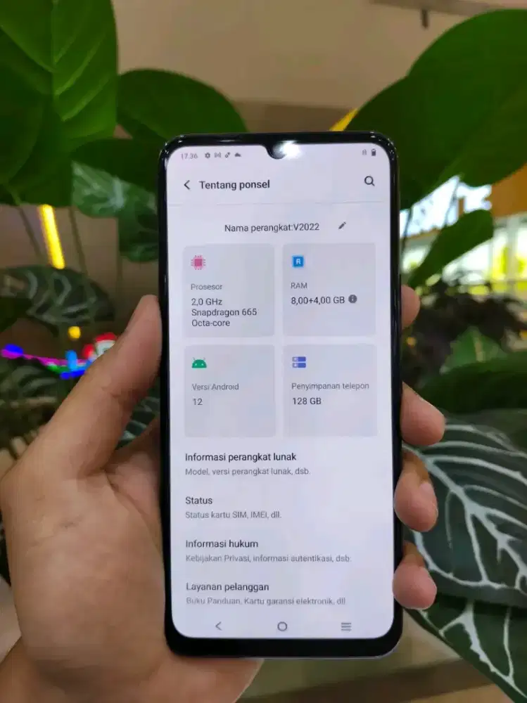 Vivo v20 se mulus nominus