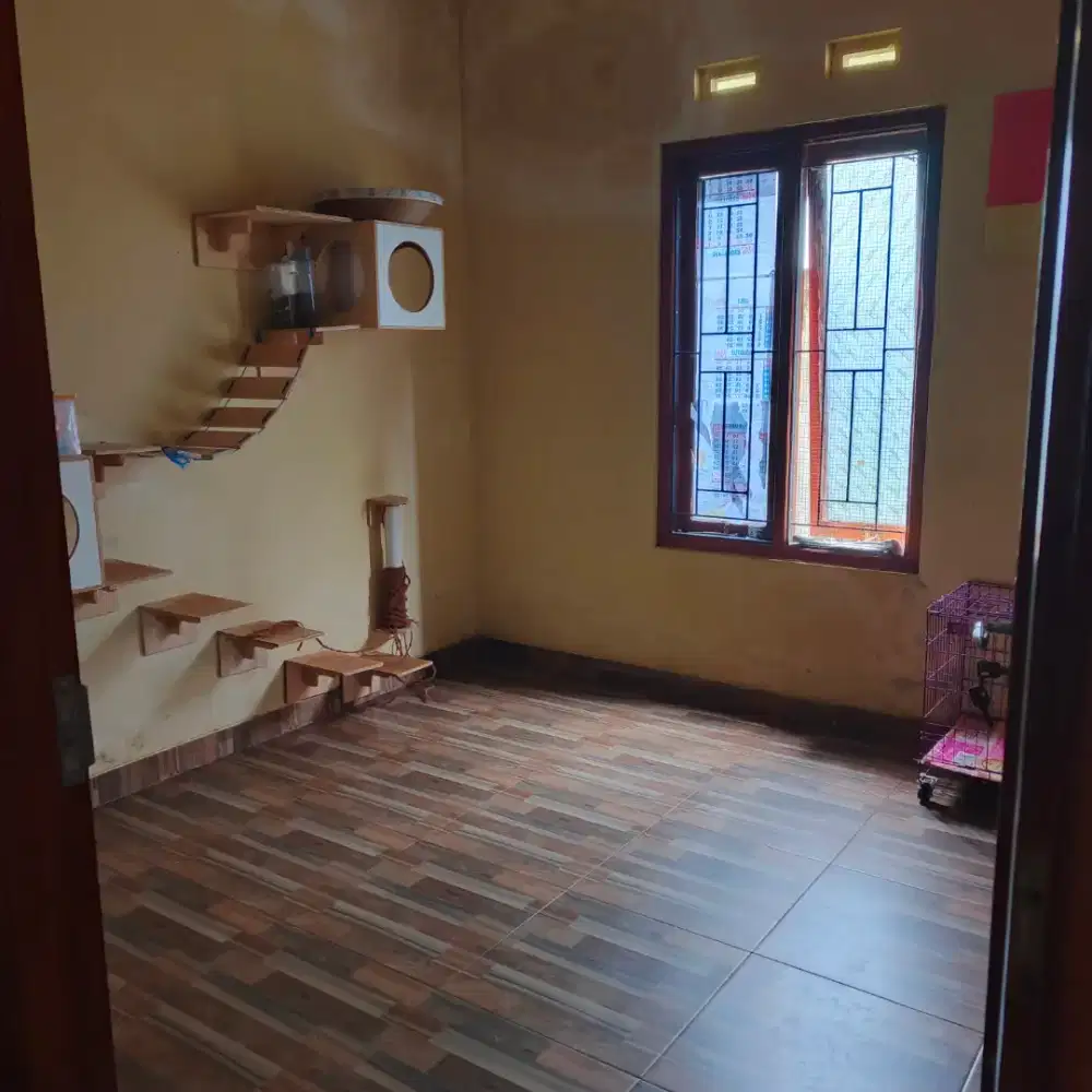 Tempat penitipan kucing