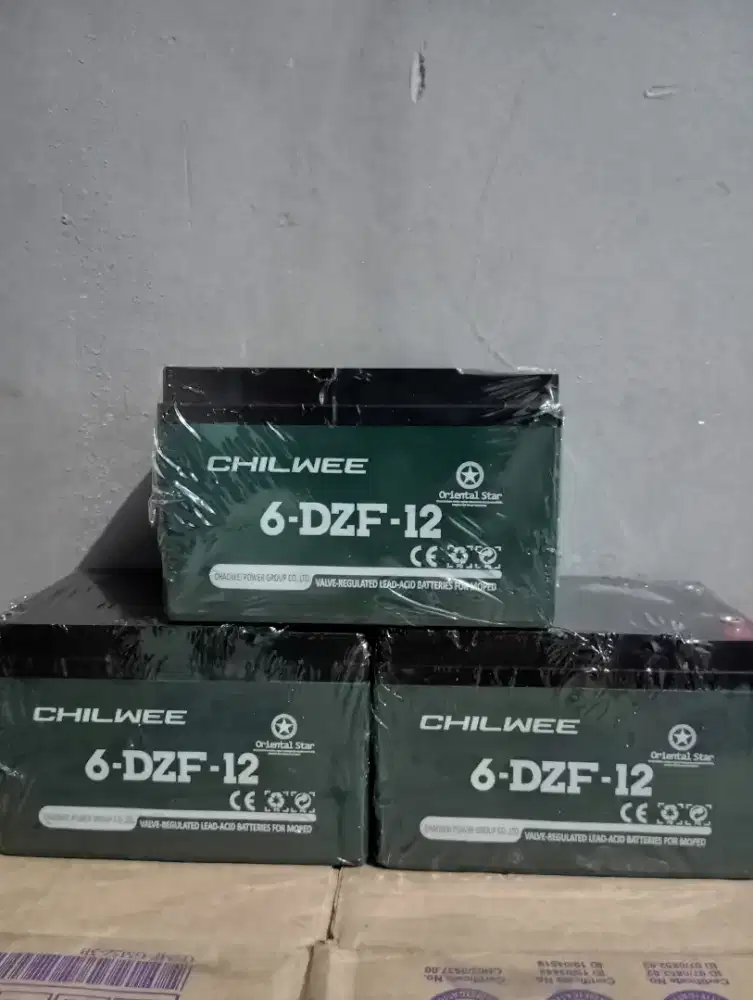 Aki sepeda listrik 12/12ah