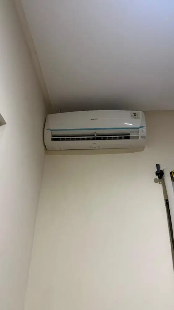 Ac Sharp Thailand 1PK