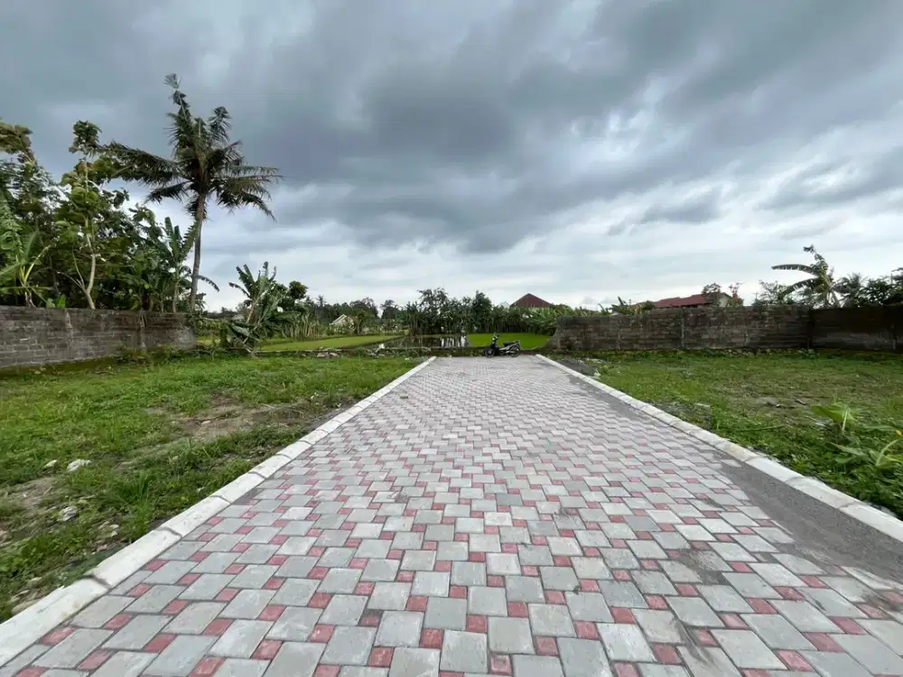 Jl. Shinta No.97-99, Nglaban, Sinduharjo, Kec. Ngaglik, Kabupaten Sleman, Daerah Istimewa Yogyakarta 55581