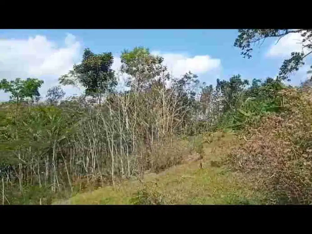 Jual Cepat Tanah SHMP di Samigaluh Kulon Progo view kota Jogja