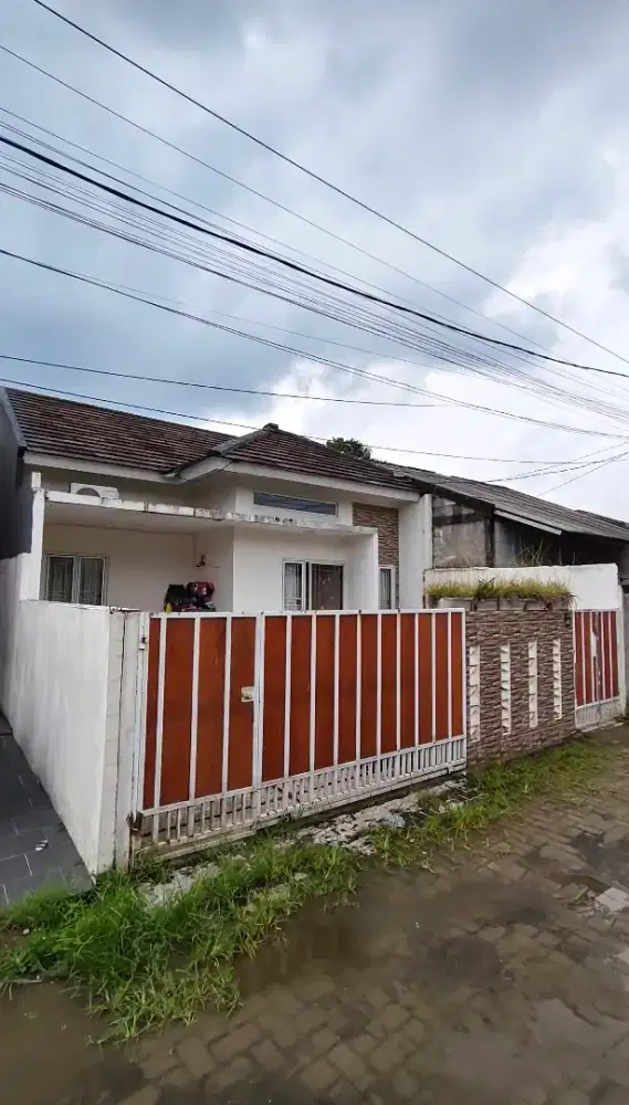 Rumah Cluster Tanah Luas Harga Murah Gunung Sindur
