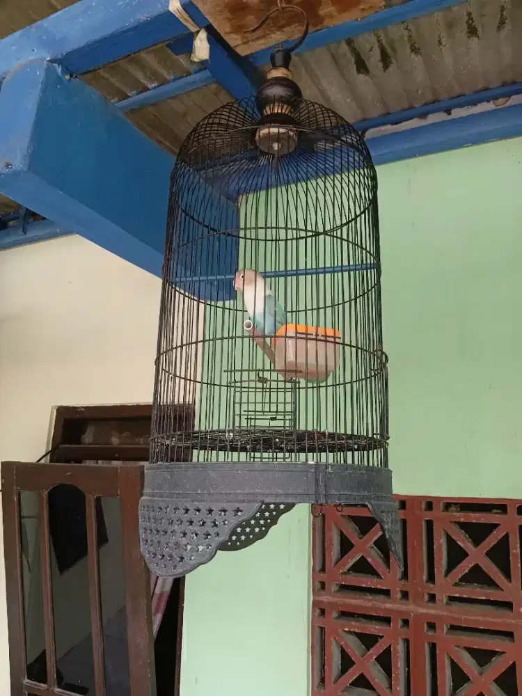 Labet komplit kandang