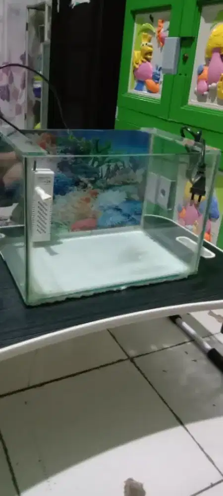 Akuarium lengkap ukuran 30 Cm