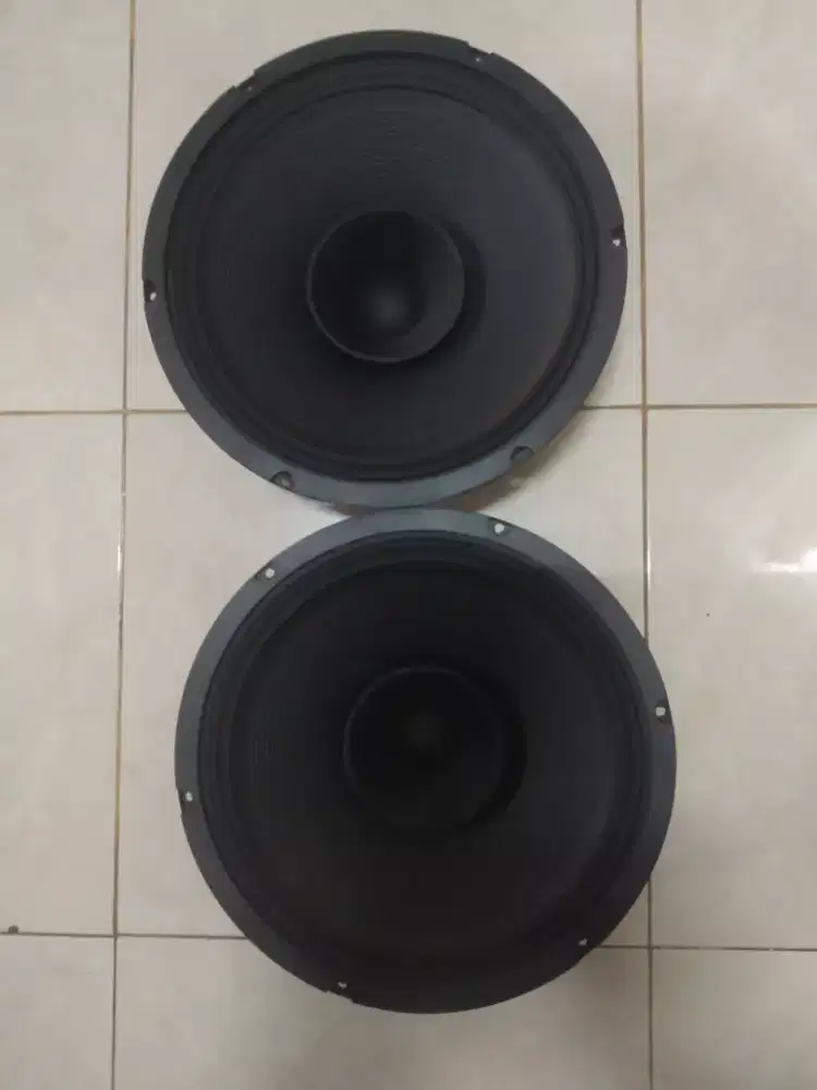 Audax full range 12/500w