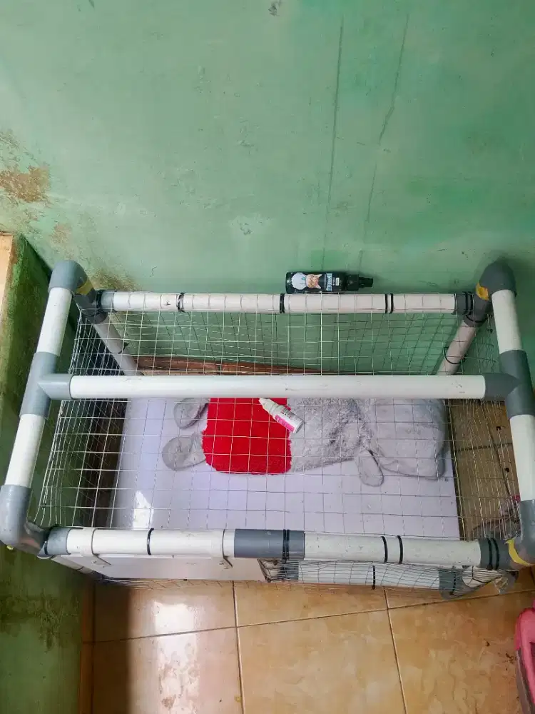 Kandang kucing pipa