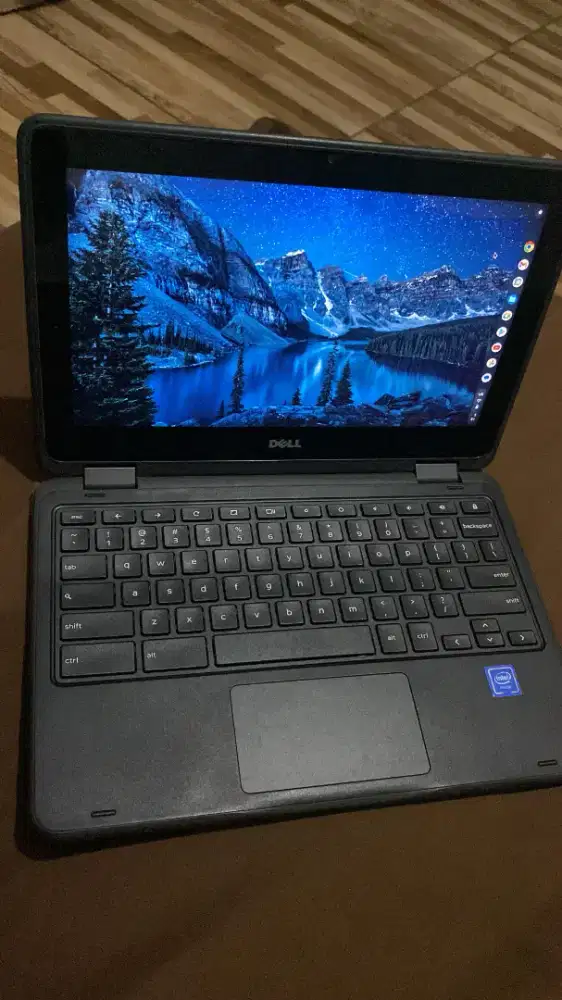 Chromebook dell 3189