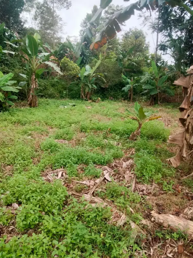 Tanah kering 930m² siap bangun (investasi/hunian), tangan pertama.