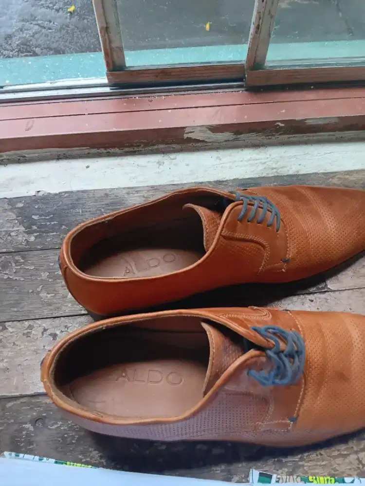 Jual Sepatu Aldo Original
