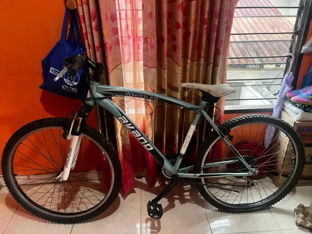 Sepeda gunung dewasa