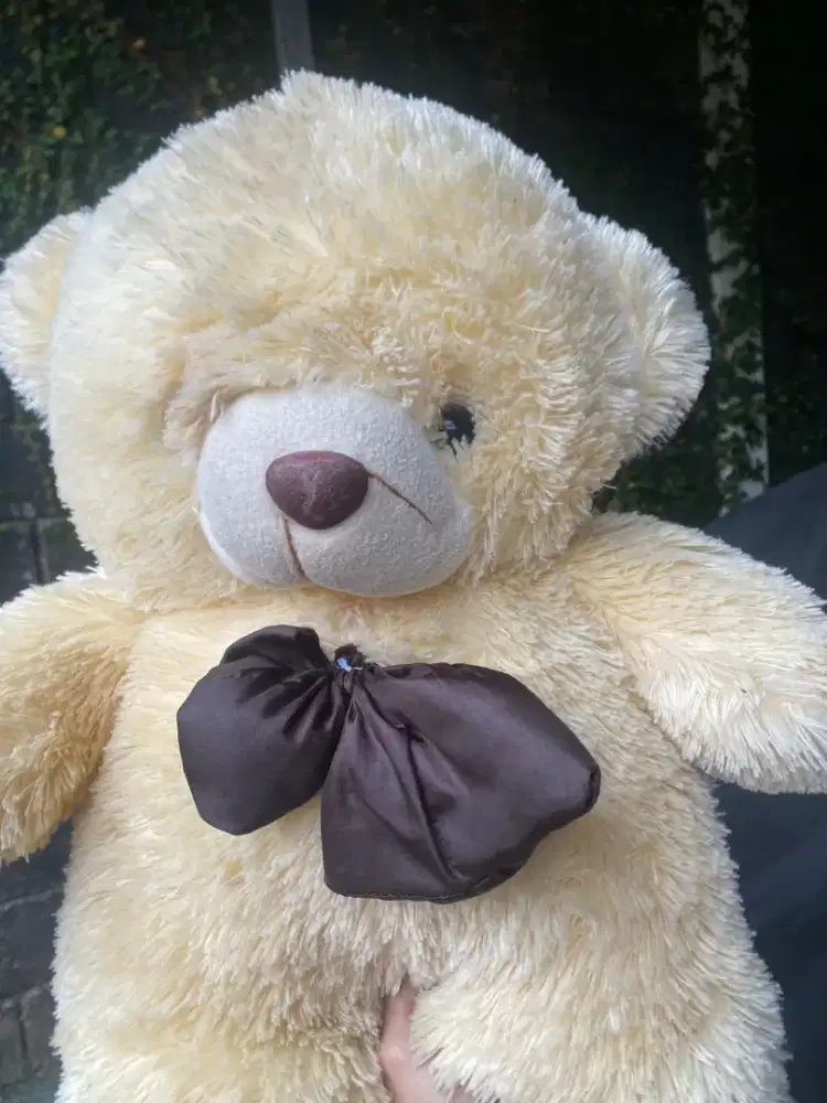 Anake boneka koleksi