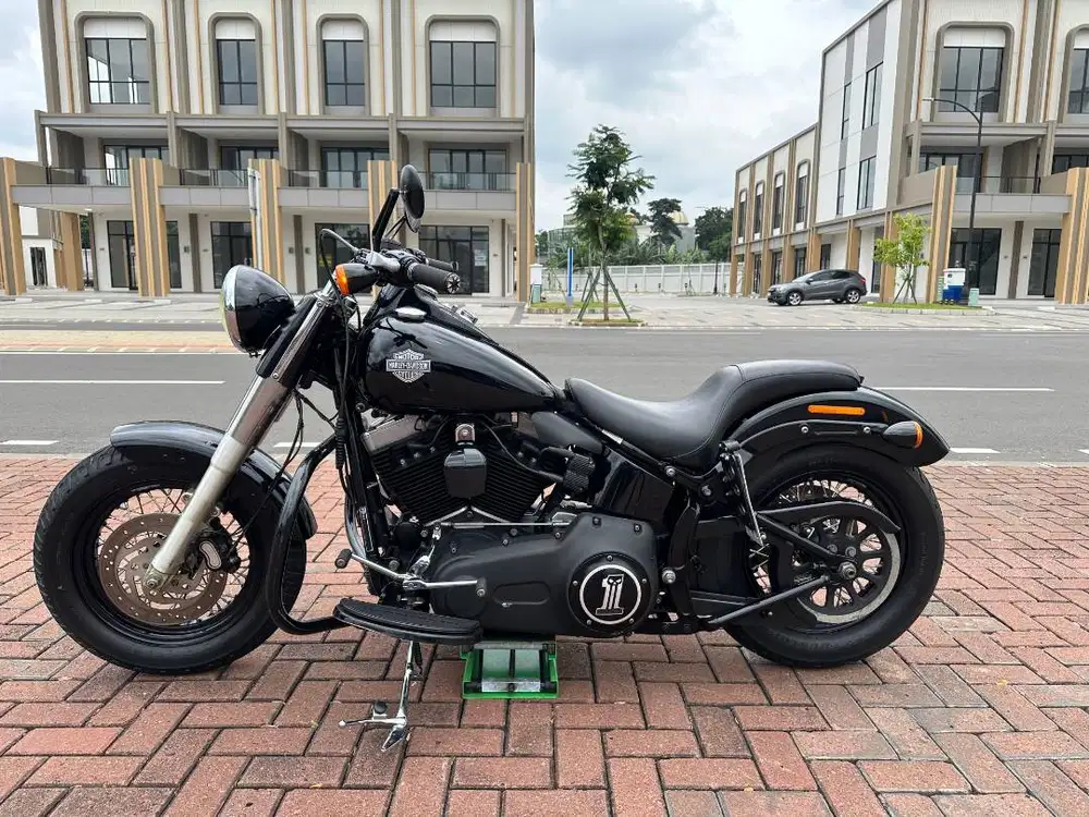 SOFTAIL SLIM 2014 FULL PAPER