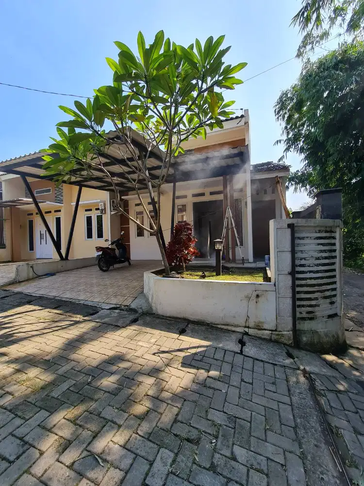 Disewakan Rumah /Dikontrakkan Rumah