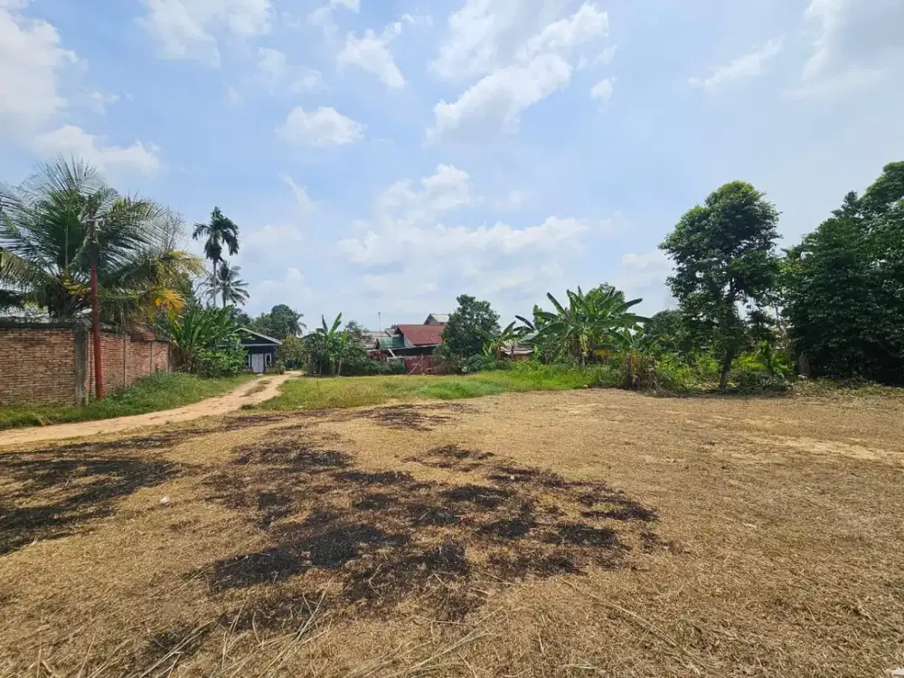 Tanah Kebun Kopi Kota Jambi Ukuran 130 m2