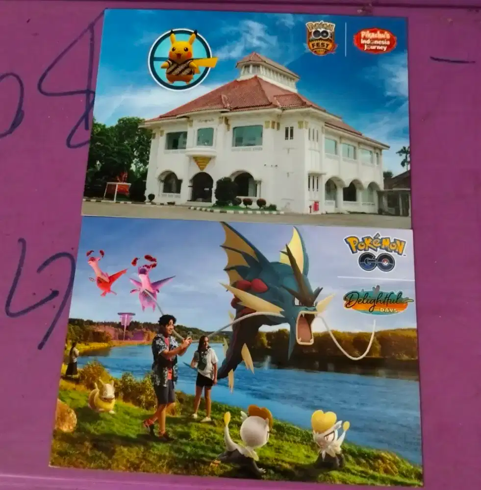 Collection Card Pokemon Go