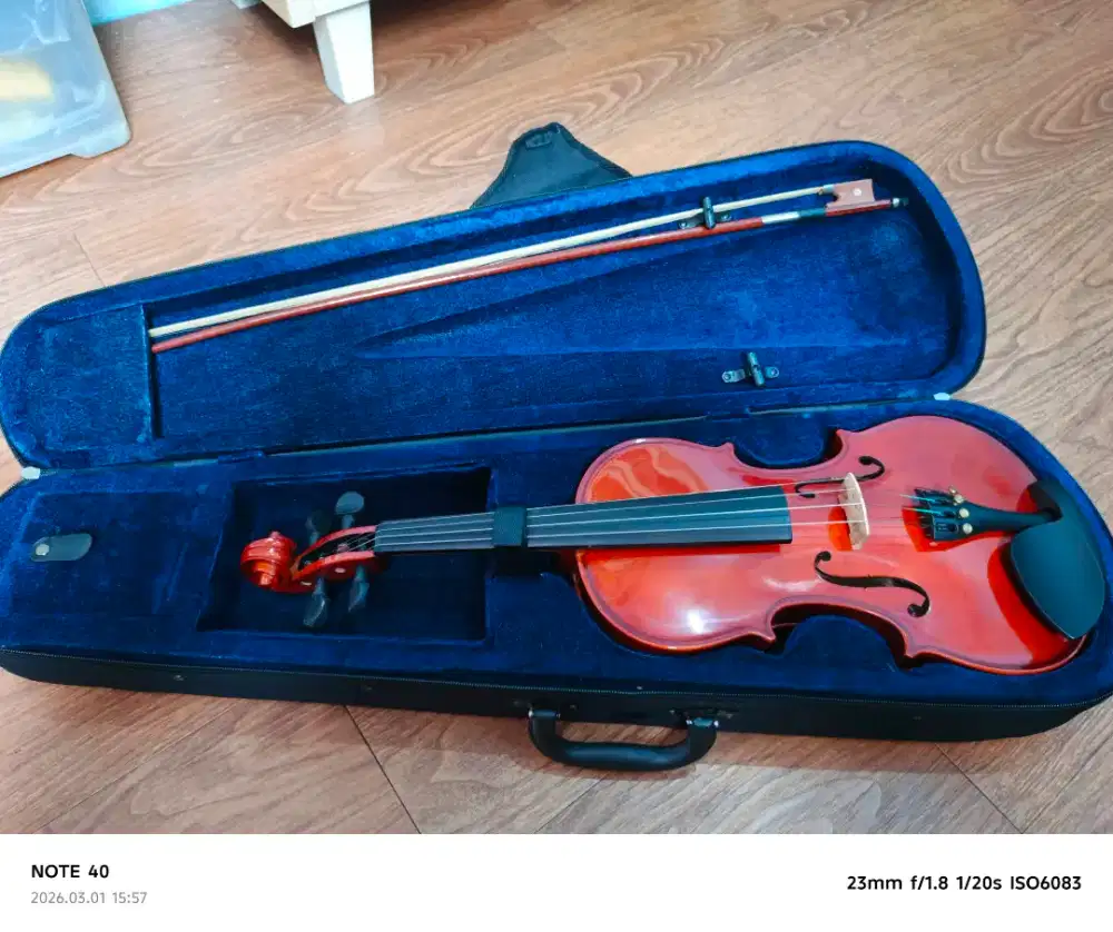 Biola Cervini 4/4 dengan hard case