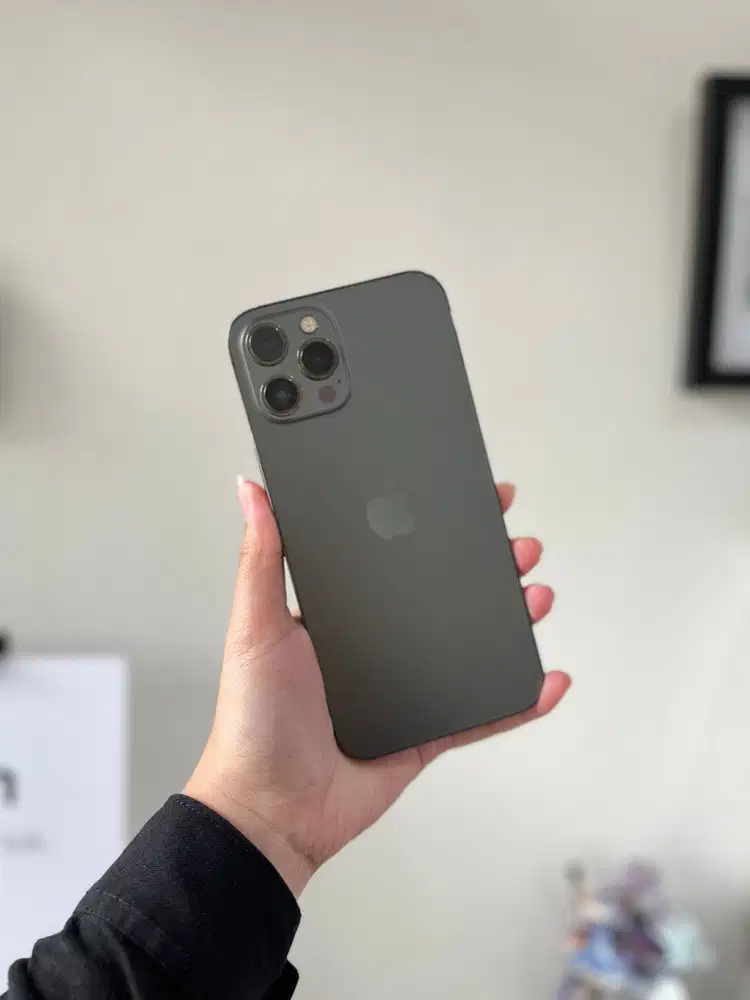 iPhone 12 Pro Max 128Gb Whitelist Kemenprin