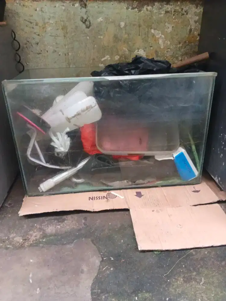 Tank Kaca Aquarium