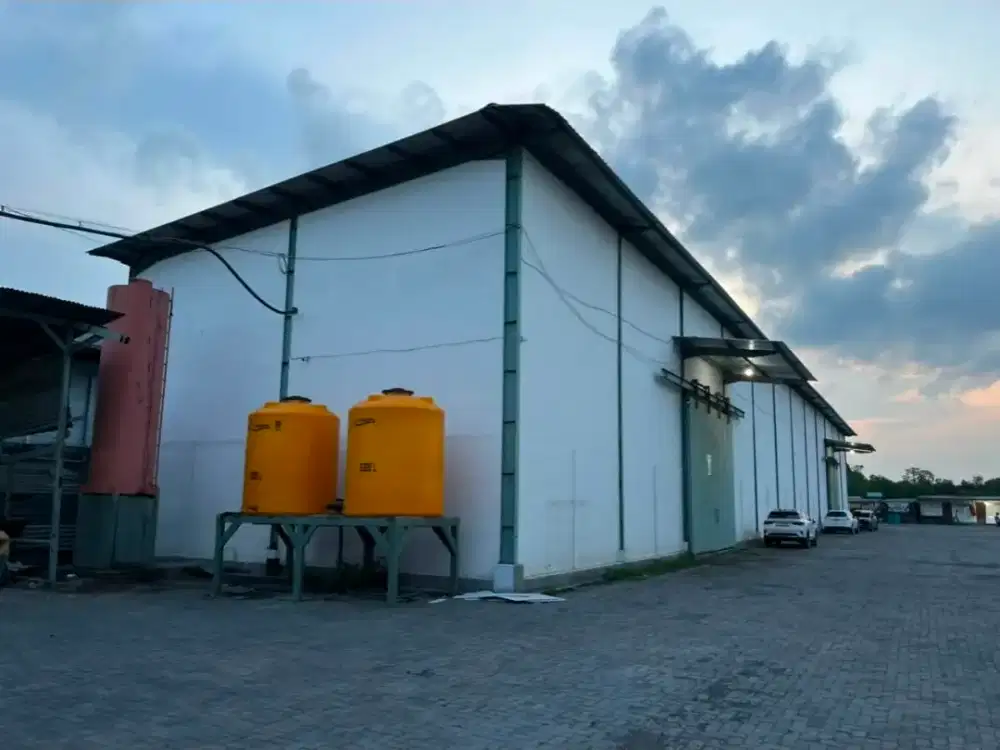 Dicari Tenaga PLB3 dan OPLB3