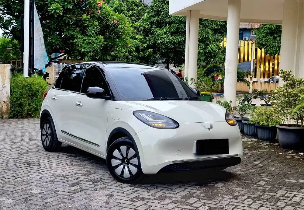 Wuling Binguo EV Premium Long 410km 2024