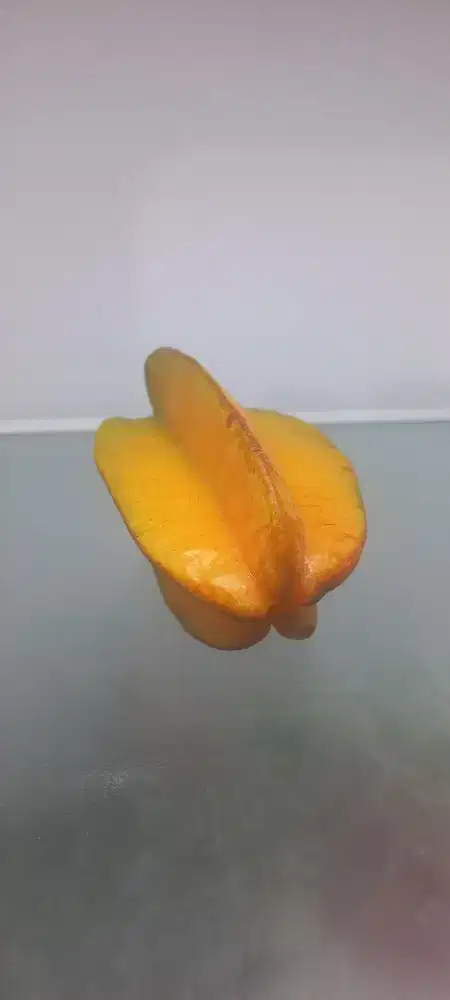 Belimbing Dewi (Besar & Manis)