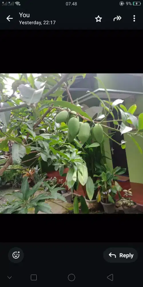 DISEWAKAN RUMAH DI JOHOR