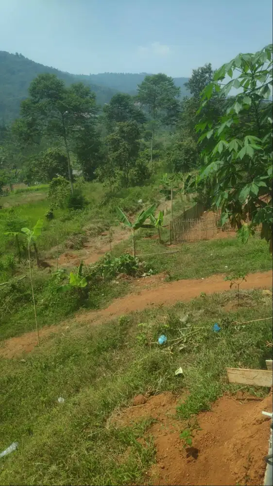 JUAL TANAH BONUS RUMAH (tanpa perantara)